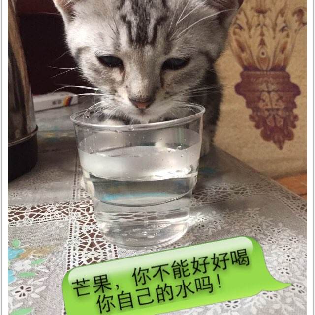 办理不动产权登记证哪个部门办理
